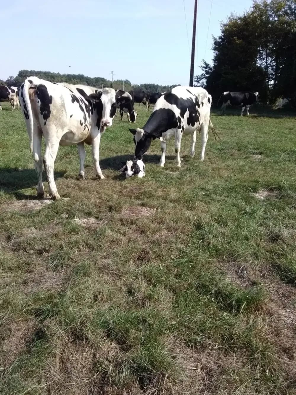 Photo de la ferme